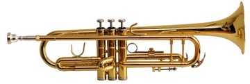 TRĄBKA MEMPHIS MT-100G