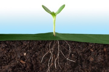 Садовый агротекстиль 1,6м х 100м + 100 штырей Plonos - зеленый