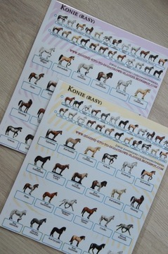 ДОПОЛНИТЕЛЬНЫЕ ДОСКИ для игры «Угадай, кто это» — ОБНОВИТЬ