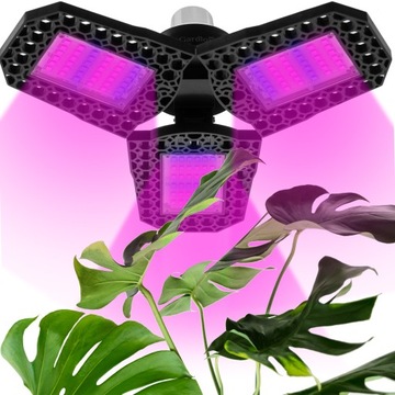 СВЕТОДИОДНАЯ ЛАМПОЧКА ДЛЯ РОСТА РАСТЕНИЙ GROW BULB 8W