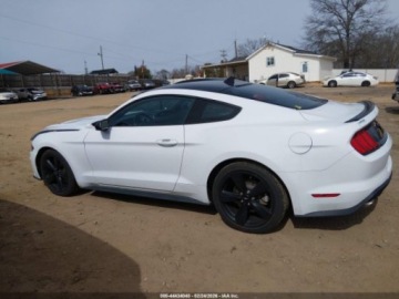 Ford Mustang VI 2022 Ford Mustang Ecoboost Fastback 2022 2.3 Benzyna 310KM, zdjęcie 2