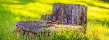 Мицелий для разложения стволов и корней 750мл