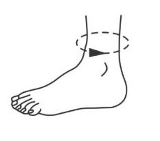 СТАБИЛИЗАТОР ГОЛОВОДЫ СУСТАВА D01