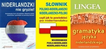 Niderlandzki nie gryzie + Słownik + Gramatyka