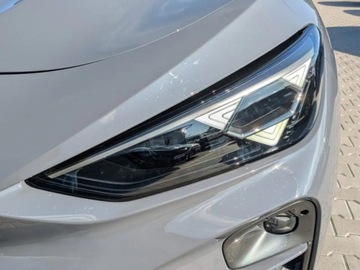 Cupra Terramar SUV 1.5 eTSI 150KM 2025 CUPRA Terramar 1.5 eTSI mHEV DSG Suv 150KM 2025, zdjęcie 14