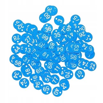 100x Protable numer tagu numer 1-100 dla kluczy