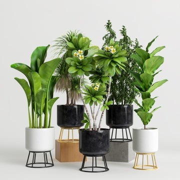 BIGOS Universal Earth Monstera Flowers 15л Биогумус Керамзит Перлит
