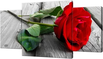 OBRAZ NA ŚCIANĘ KWIATY RÓŻA NA POMOŚCIE 80x40