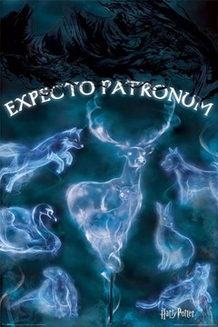 Plakat Harry Potter Expecto Patronum 61x91,5 cm