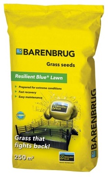 Trawa Barenbrug RESILIENT BLUE Lawn 5kg Nasiona traw Tough&Easy 250m2