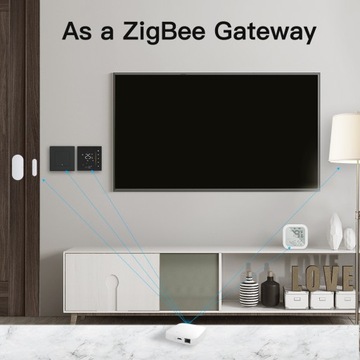 Центральный проводной шлюз HomeKit Zigbee