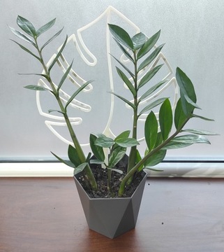 ПОДДЕРЖКА ДЛЯ ЦВЕТОВ ПЕРГОЛА МОНСТЕРА ЛИСТ 36см