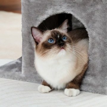 КОГАТКА С КОШКОЙ ДОМИК БАШНЯ С КРОВАТЬЮ КОГАТКА ДЛЯ КОШКИ С ИГРУШКОЙ