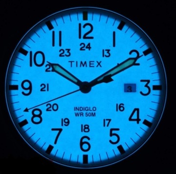 Timex zegarek męski TW2R60900