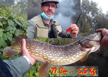 РЫБАЛОЧНЫЙ НАБОР резиновый Wooper GullFish 6 ШТ.