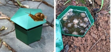 Экологическая ловушка для улиток Набор из 4 штук.