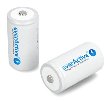 Аккумулятор EverActive Professional Line R20/D
