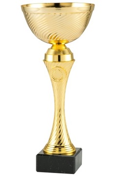 Puchar trofeum nagroda konkurs 26 cm + NADRUK