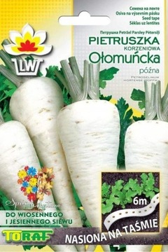 PIETRUSZKA OŁOMUŃCKA nasiona na taśmie 6m WYGODNIE