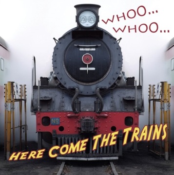 Whooo, Whooo… Here Come The Trains - Molly Carroll