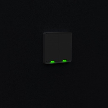WIFI Tesla Switch Двойной умный выключатель TUYA