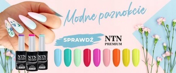 NTN HYBRID KIT 10 аксессуаров для лаковых ламп