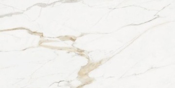 НАПОЛЬНАЯ ПЛИТКА MEDINA GOLD GRESS 60x120 ПОЛЬСКАЯ