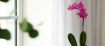 Грунт-СУБСТРАТ ДЛЯ ОРХИДЕИ 3л Кора Кокос Перлит