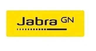 Моногарнитура Jabra Evolve 20 MS