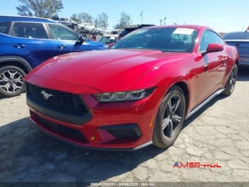 Ford Mustang VI 2024 Ford Mustang 2024 2.3L EcoBoost Fastback 2.3 Benzyna 315KM, zdjęcie 3