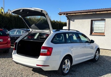 Skoda Octavia III Kombi Facelifting 1.6 TDI 115KM 2020 Skoda Octavia Samochod z gwarancja 1.6 Diesel 115KM, zdjęcie 17