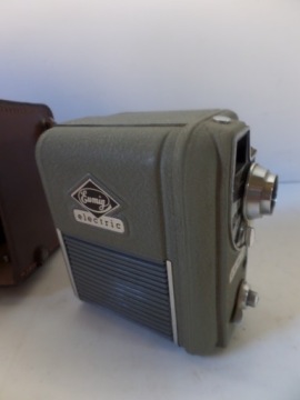 Эумиг электрический