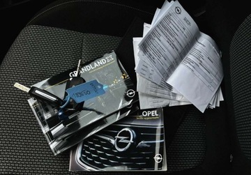 Opel 2019 Opel Grandland X 130 KM manual BEZWYPADKOWY gwarancja ZAREJESTROWANY, zdjęcie 32