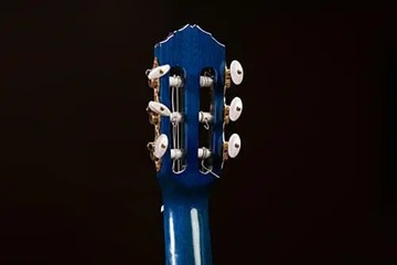 ORTEGA Timber Series Guitarlele 6 струн - синий