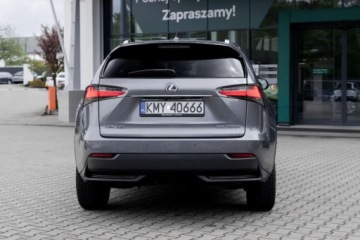 Lexus NX I SUV 300h 197KM 2017 Lexus NX Prestige AWD, 197KM, Mark Levinson, kamery 360, martwe pole, gwar, zdjęcie 5