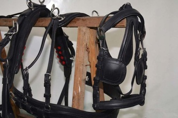 ОДИНАРНАЯ ШПОКА ПОНИ, ПРОФИЛИРОВАННАЯ ГРУДКА