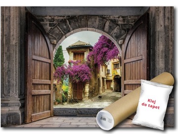 FOTOTAPETA FLIZELINA WIDOK DRZWI ULICZKA 520x318