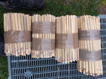 Тростниковые трубки 17 см для пчел-мазонов, тростниковых коконов, сада