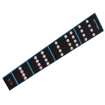 Съемная наклейка на гриф и пальцы скрипки размером 4/4 для начинающих.