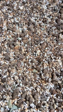 Botanic Soil Succulent 3l Podłoże, ziemia do sukulentów,bigos