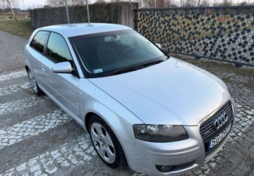 Audi A3 8P Hatchback 3d 2.0 TDI PD 140KM 2005 Audi A3 3-drzwiowe Audi A3 3-drzwiowe 2.0 TDI Attraction 2.0 Diesel 140KM, zdjęcie 6