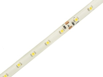 Taśma LED 3528 BIAŁA 24V neut (20cm)/2740