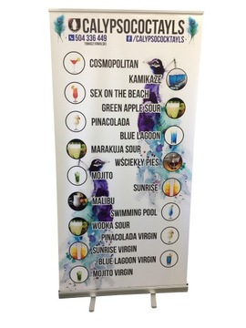 РОЛЛ АП ПРО 100х200см 1440 DPI БЛОКАУТ