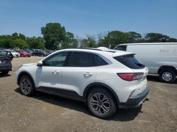 Ford Escape III 2020 Ford Escape Sel awd 2.0 Benzyna 250KM, zdjęcie 2