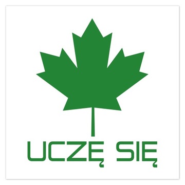 Naklejka magnes Zielony Listek 20x20 UCZĘ SIĘ