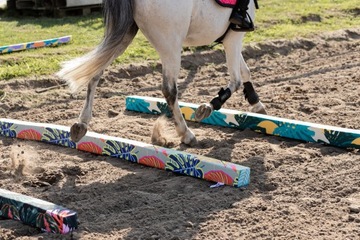 HorseMania - легкие шесты для препятствий 2,2мx10 ПЕРСОНАЛИЗАЦИЯ