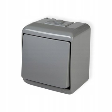Łącznik pojedynczy Popielaty Junior IP54 10WHE-1