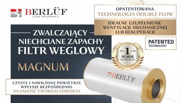 Угольный фильтр 250Magnum дополняет вентиляцию и рекуперацию.