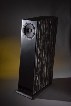 Davis Acoustics MV One Master – акция от 42 190 злотых!