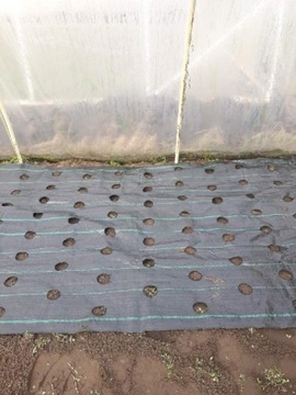 Агроткань 7 рядов ЛУЧКИ для рассады ТОЛСТАЯ 95г